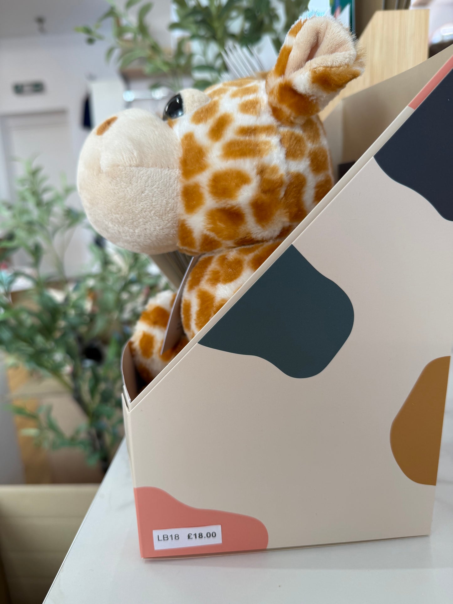 Loved Before Clementine