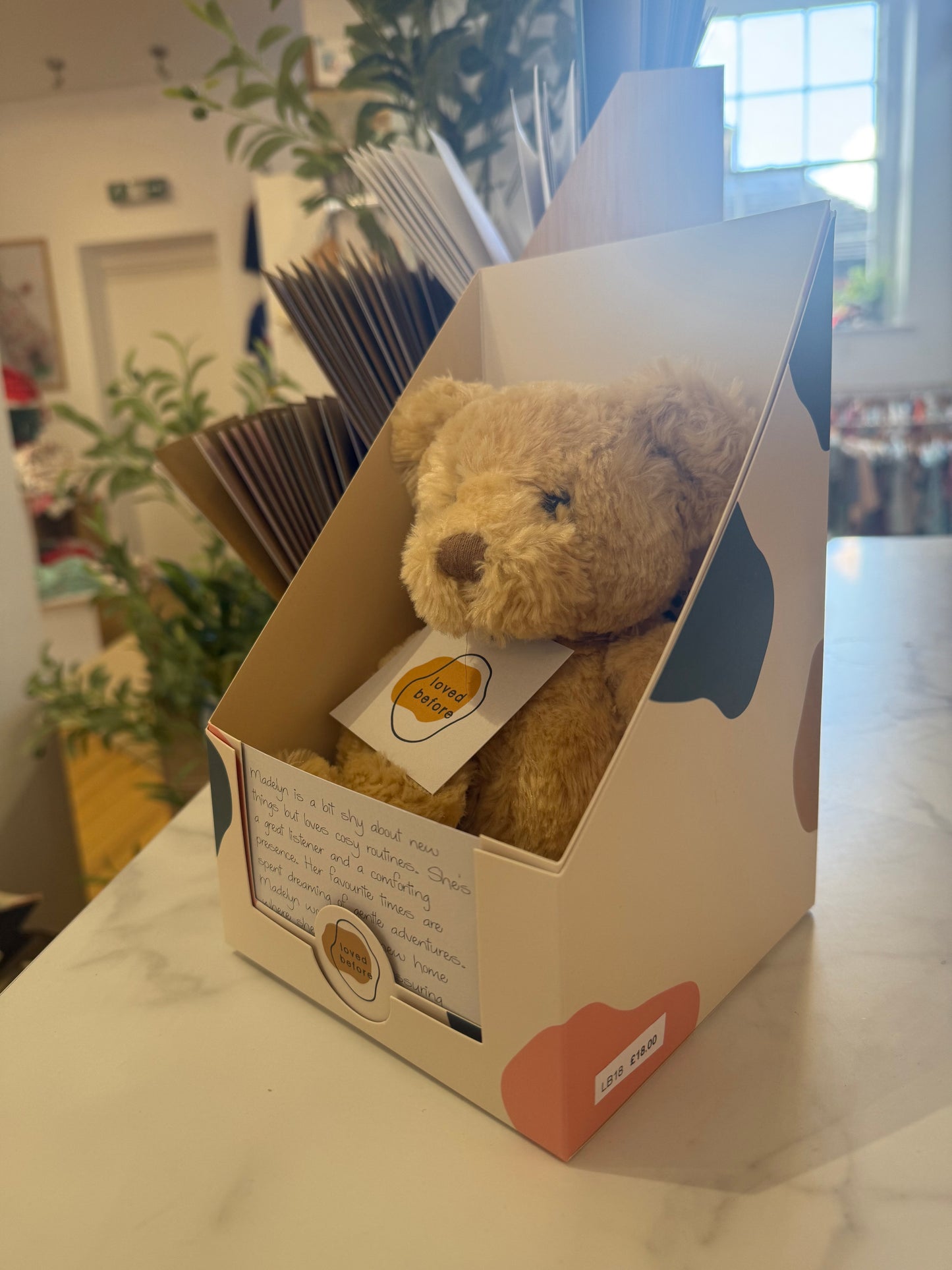 Loved Before Madelyn