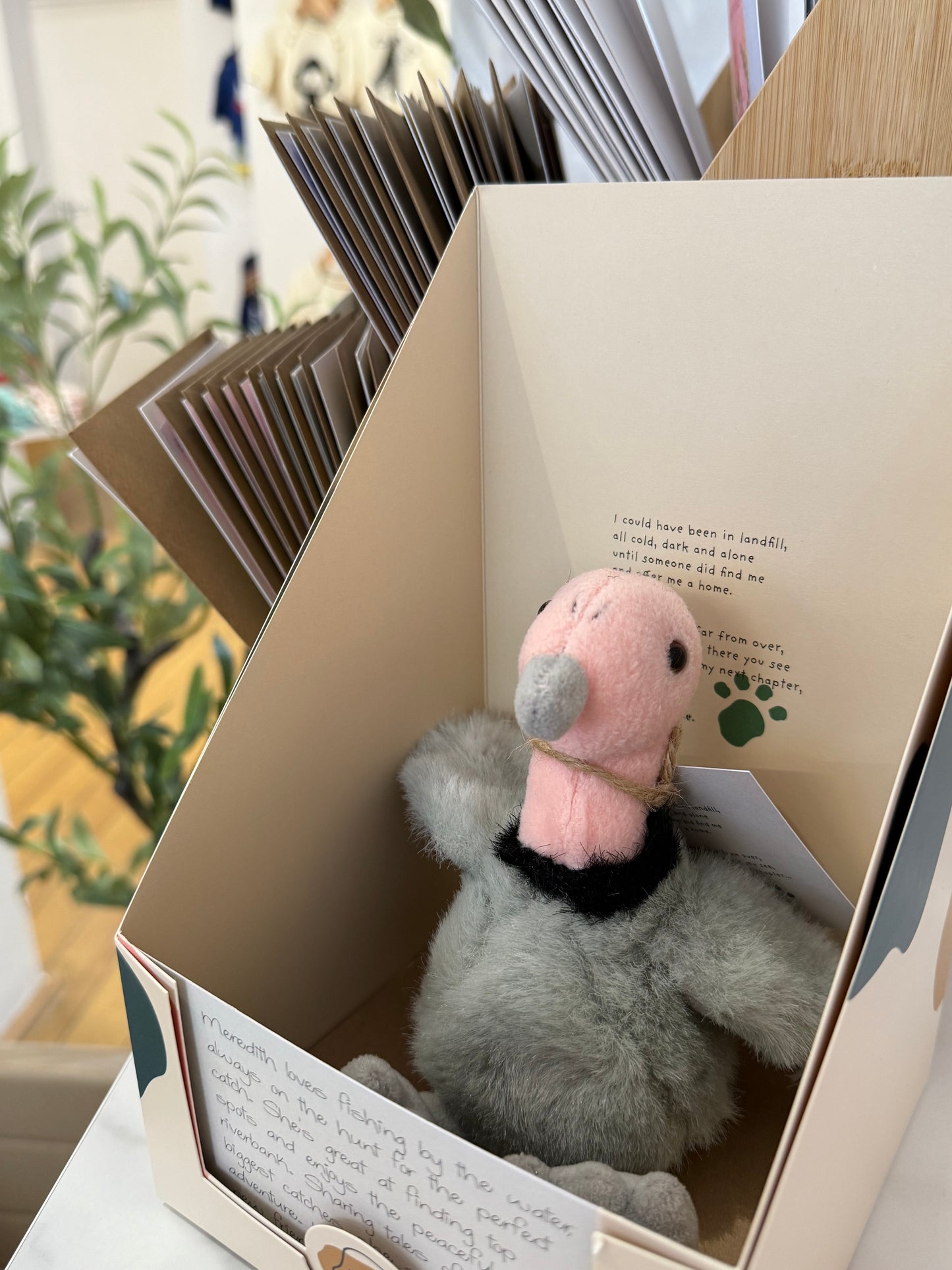 Loved Before Meredith