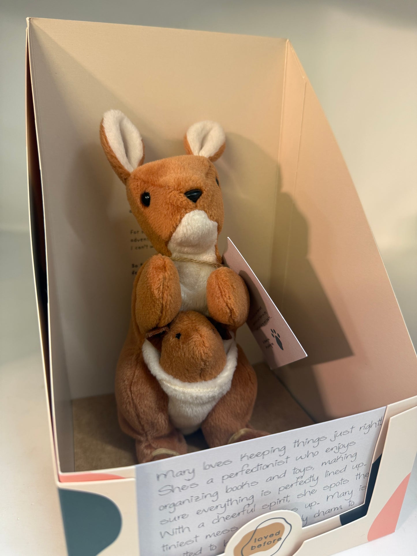 Loved Before Mary & Her Baby