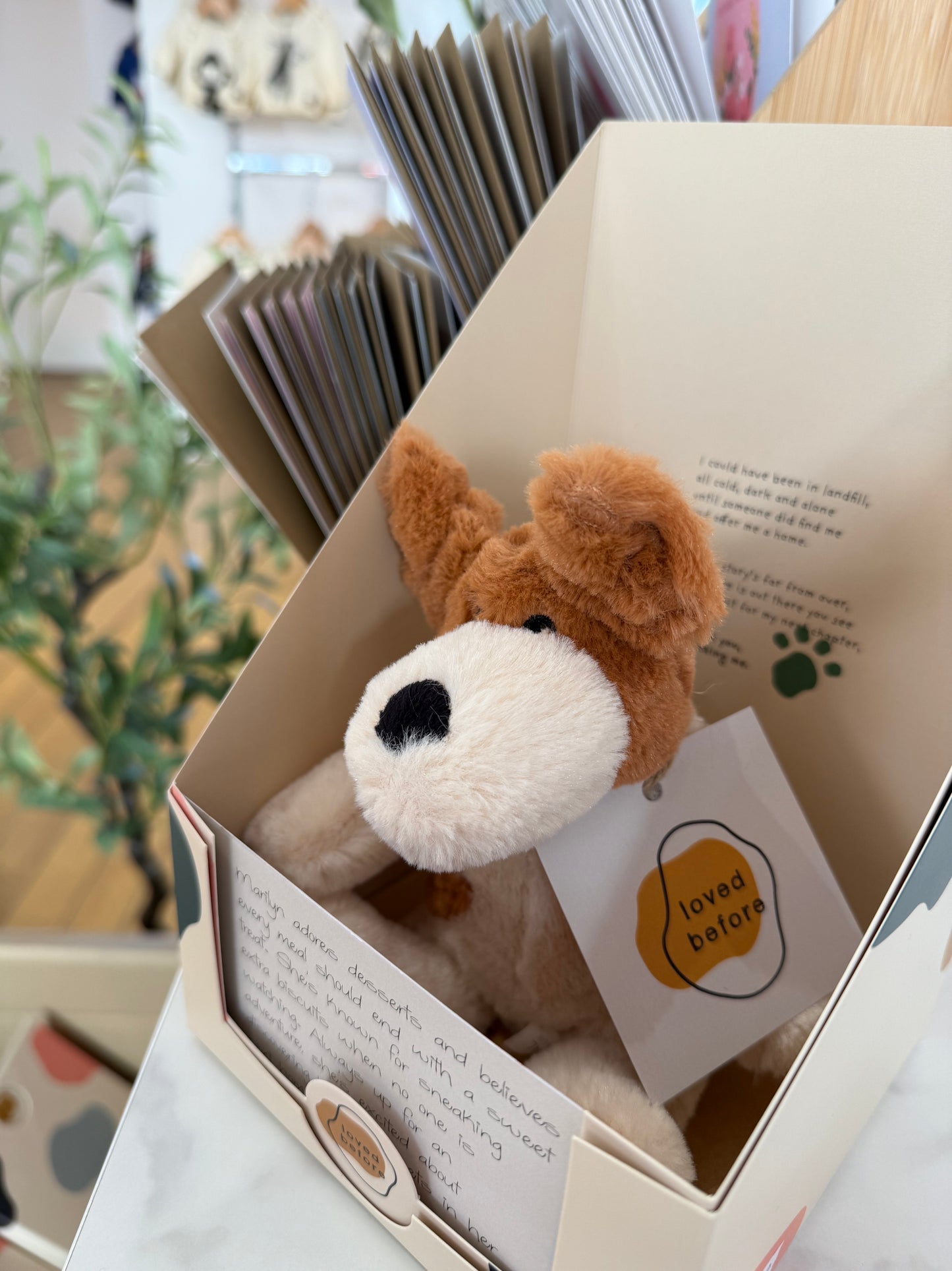 Loved Before Marilyn