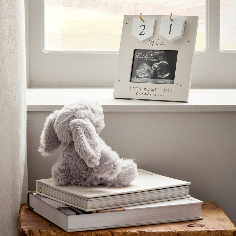 Bambino Arrival Countdown Baby Frame