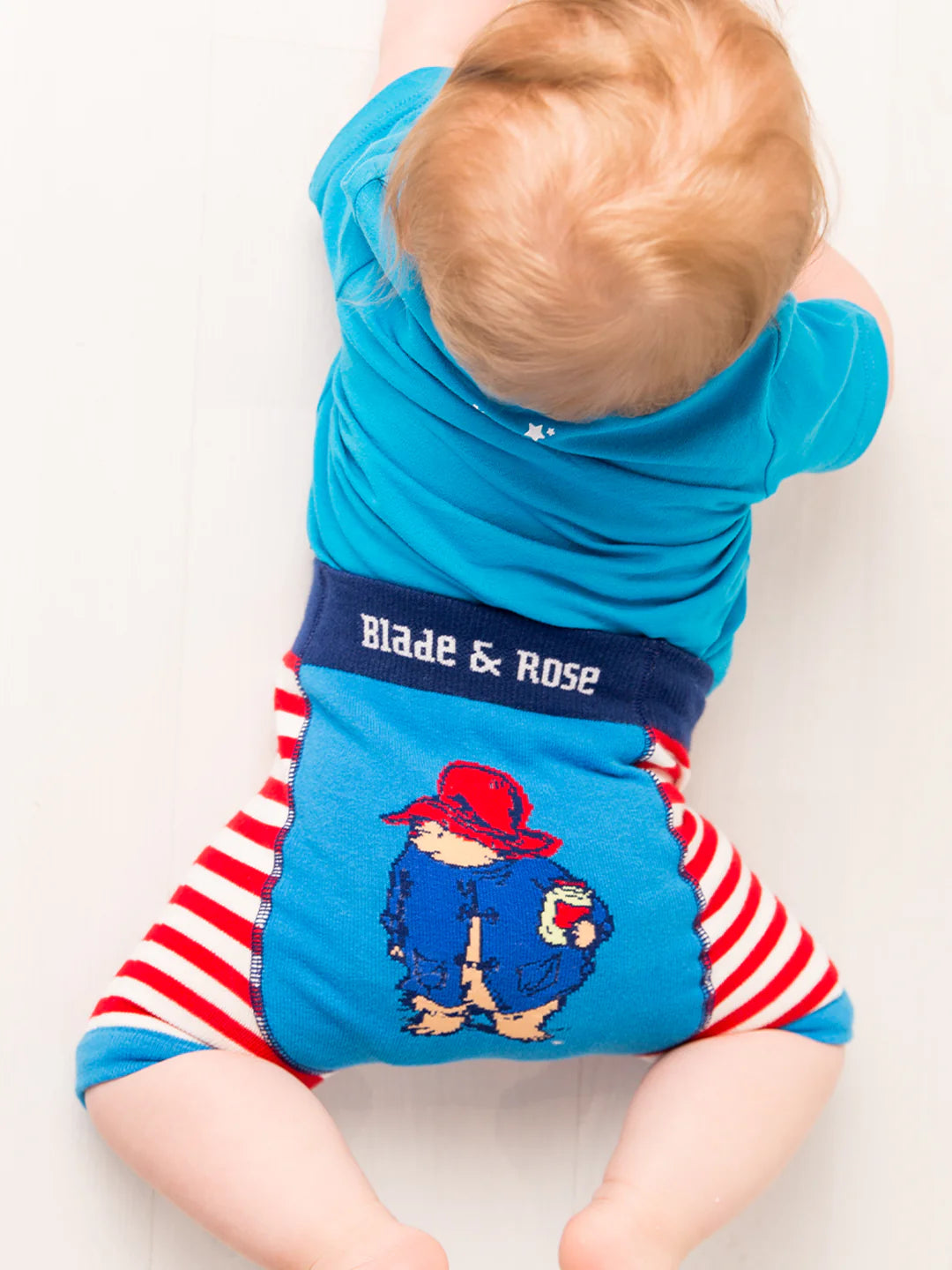 Blade & Rose Let’s Have A Picnic Paddington Shorts