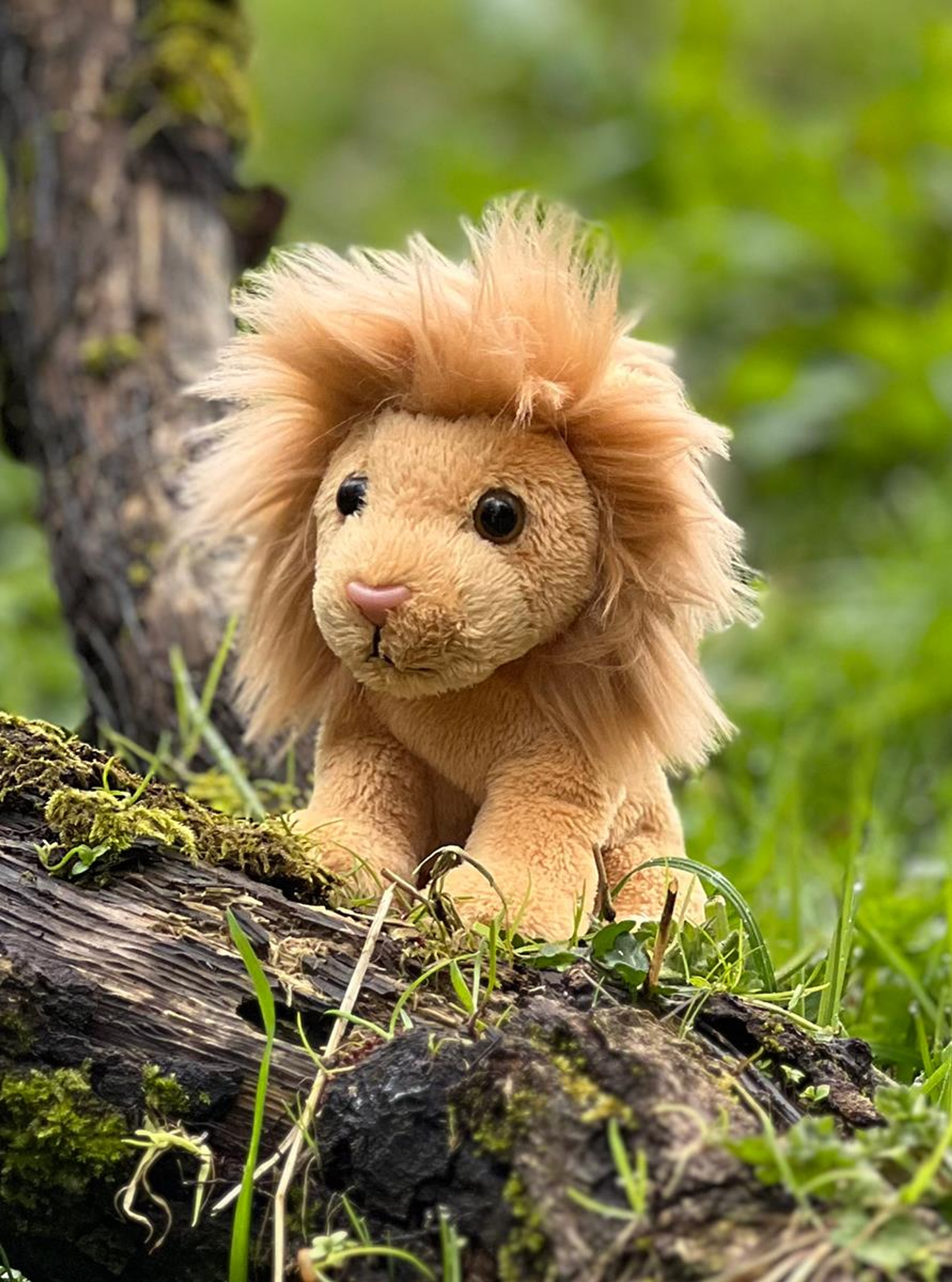 Charlie Bears Cuddle Cub Lion