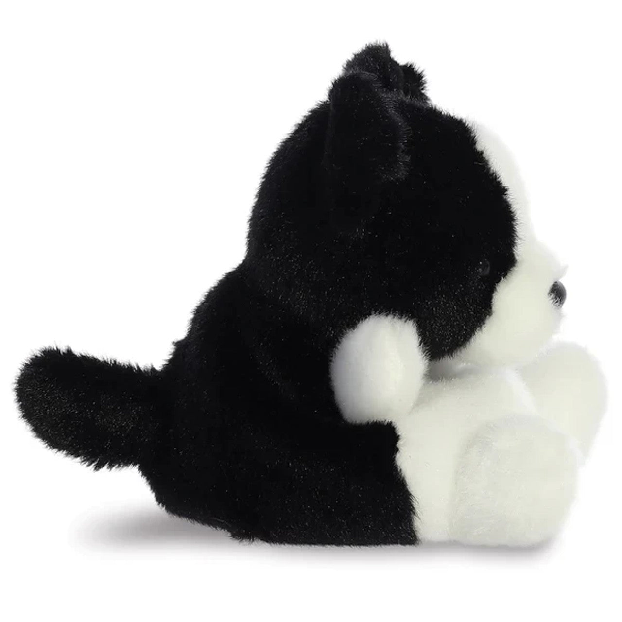Palm Pals Border Collie