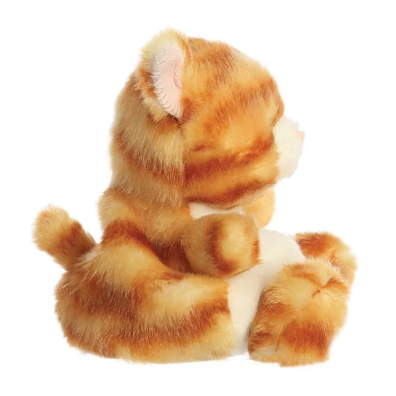 Palm Pals Ginger Kitty