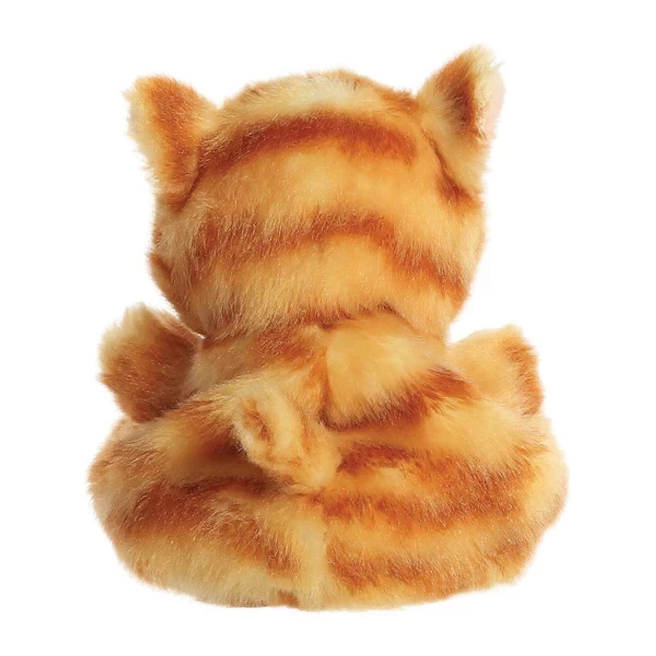 Palm Pals Ginger Kitty