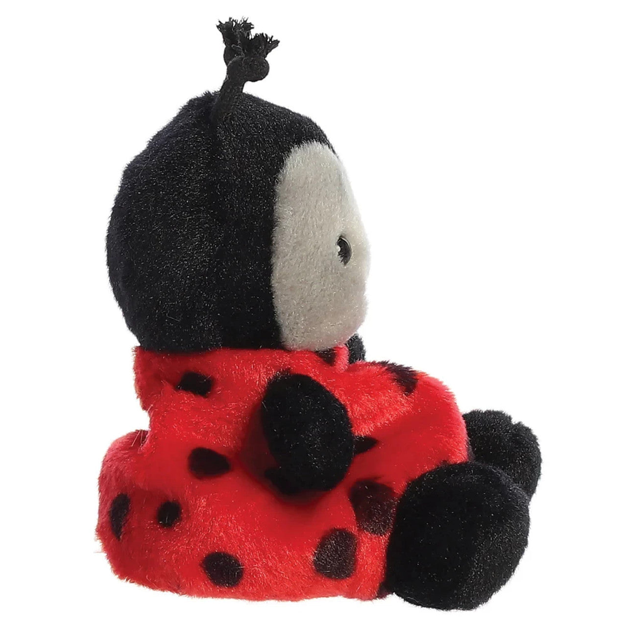 Palm Pals Ladybird