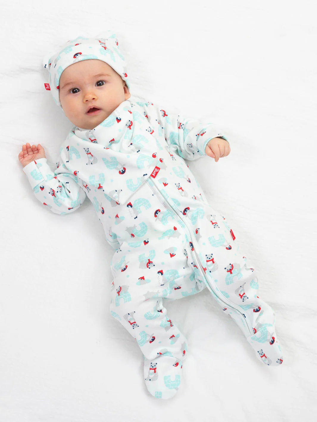 Kite Snowy Homes Hat