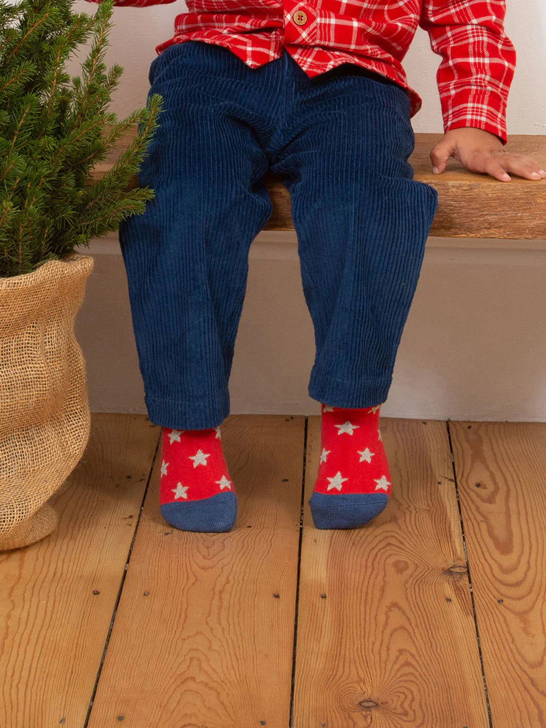 Kite Seal Socks 3-Pack