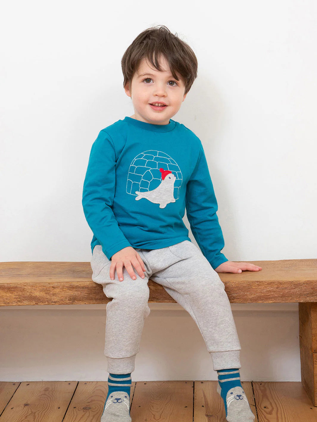 Kite Snowy Homes T-Shirt