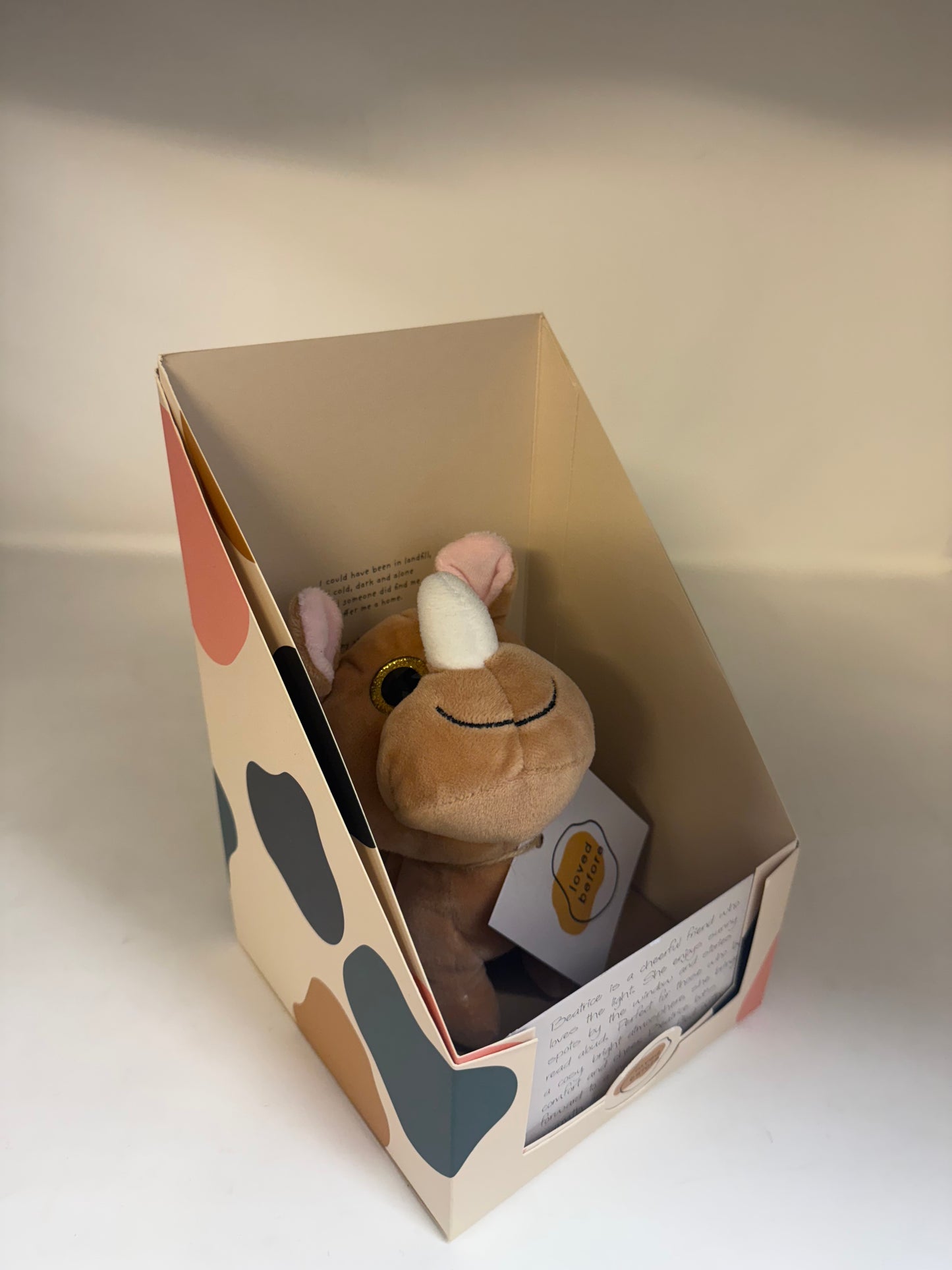 Loved Before Beatrice