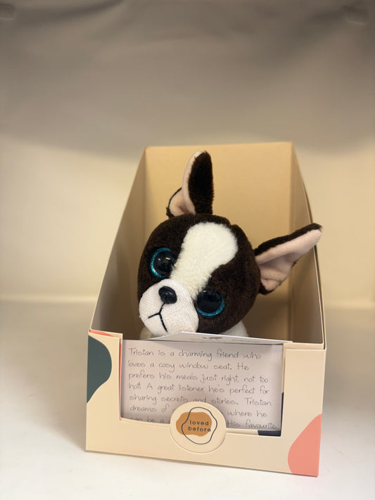 Loved Before Tristan