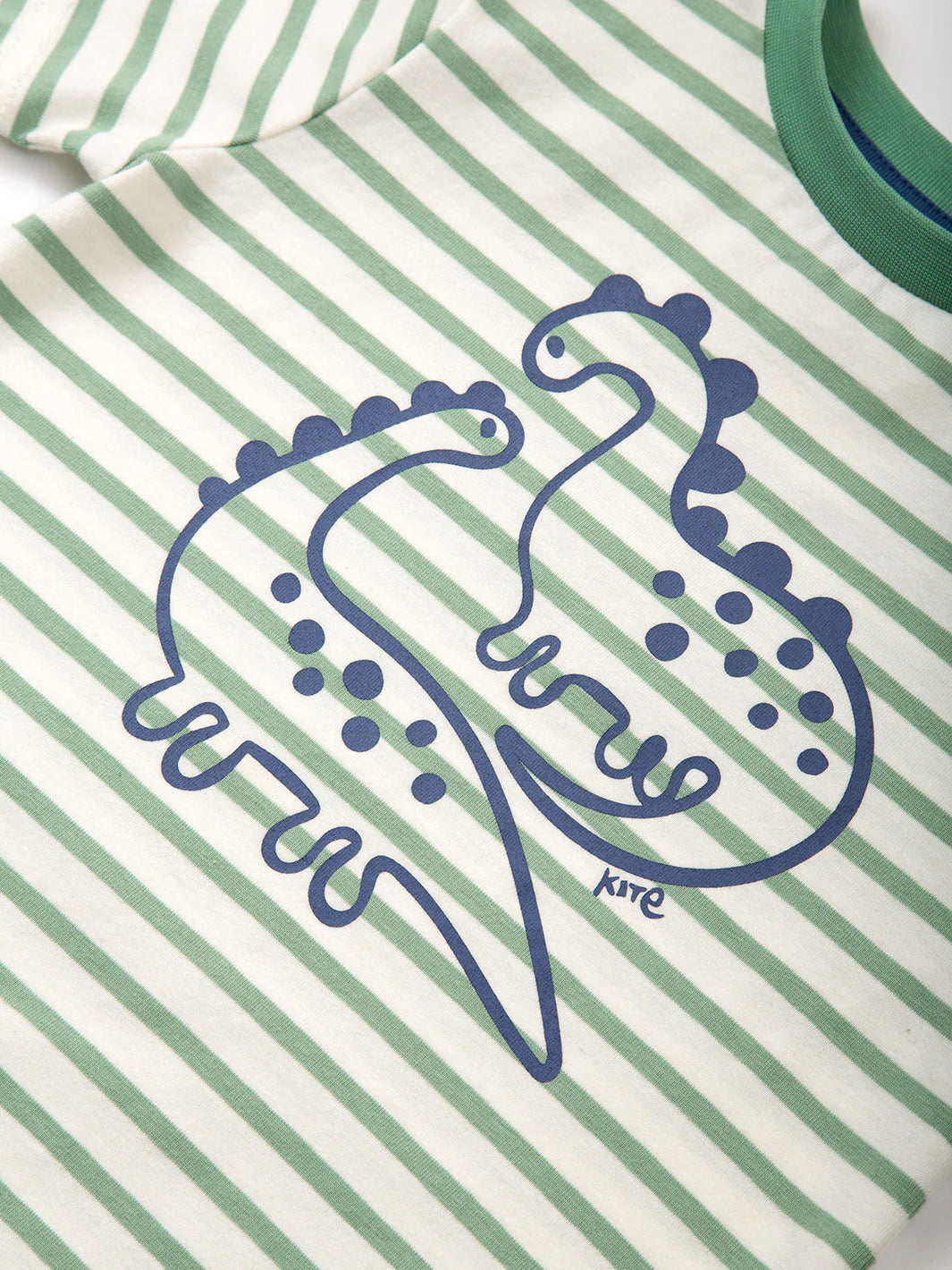 Kite Dino Friends T-Shirt