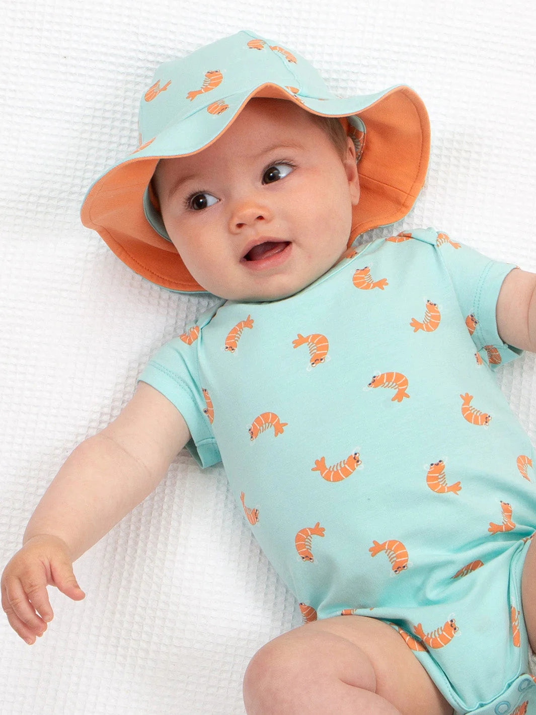 Kite Little Shrimp Hat