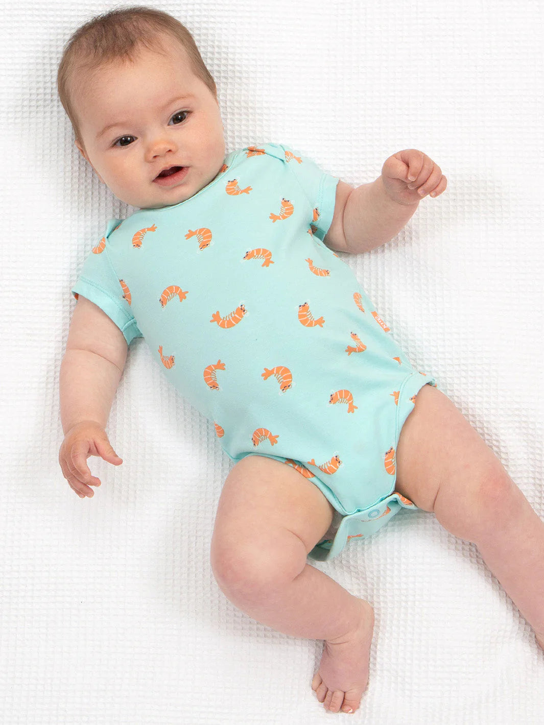 Kite Little Shrimp Bodysuit