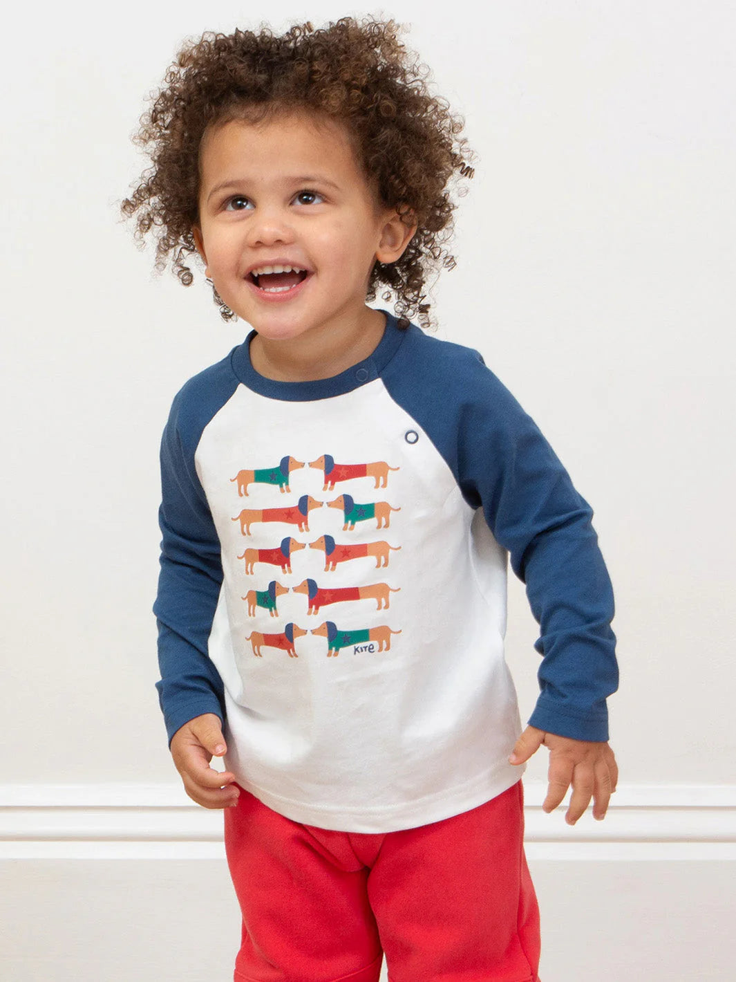 Kite Daxie Dog T-Shirt