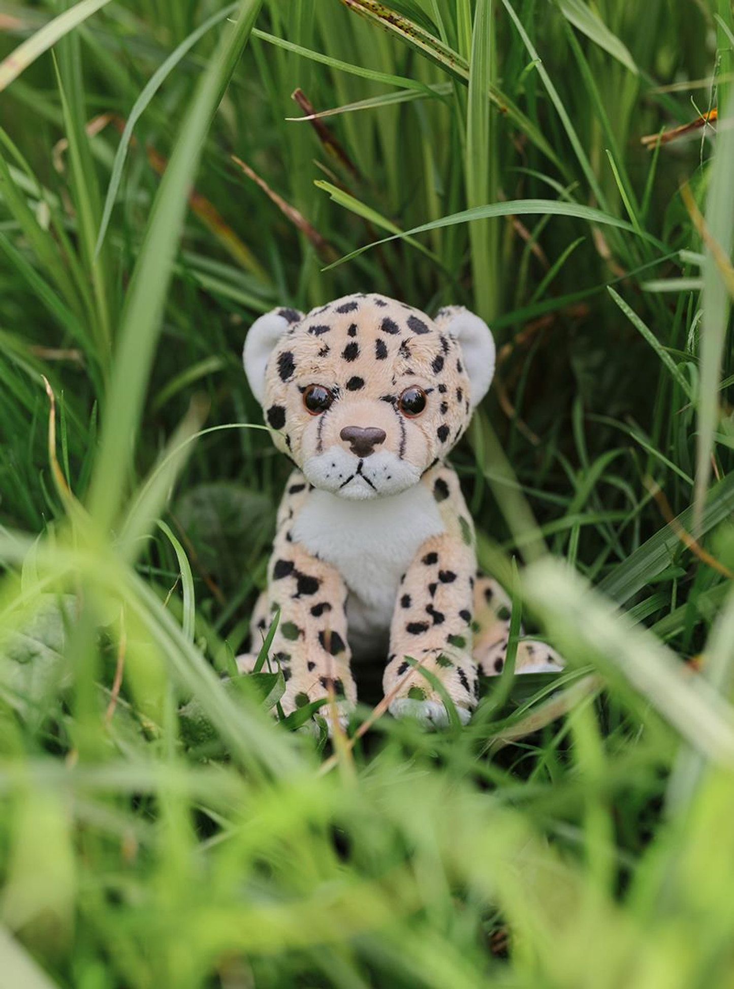 Charlie Bears Cuddle Cub Leopard