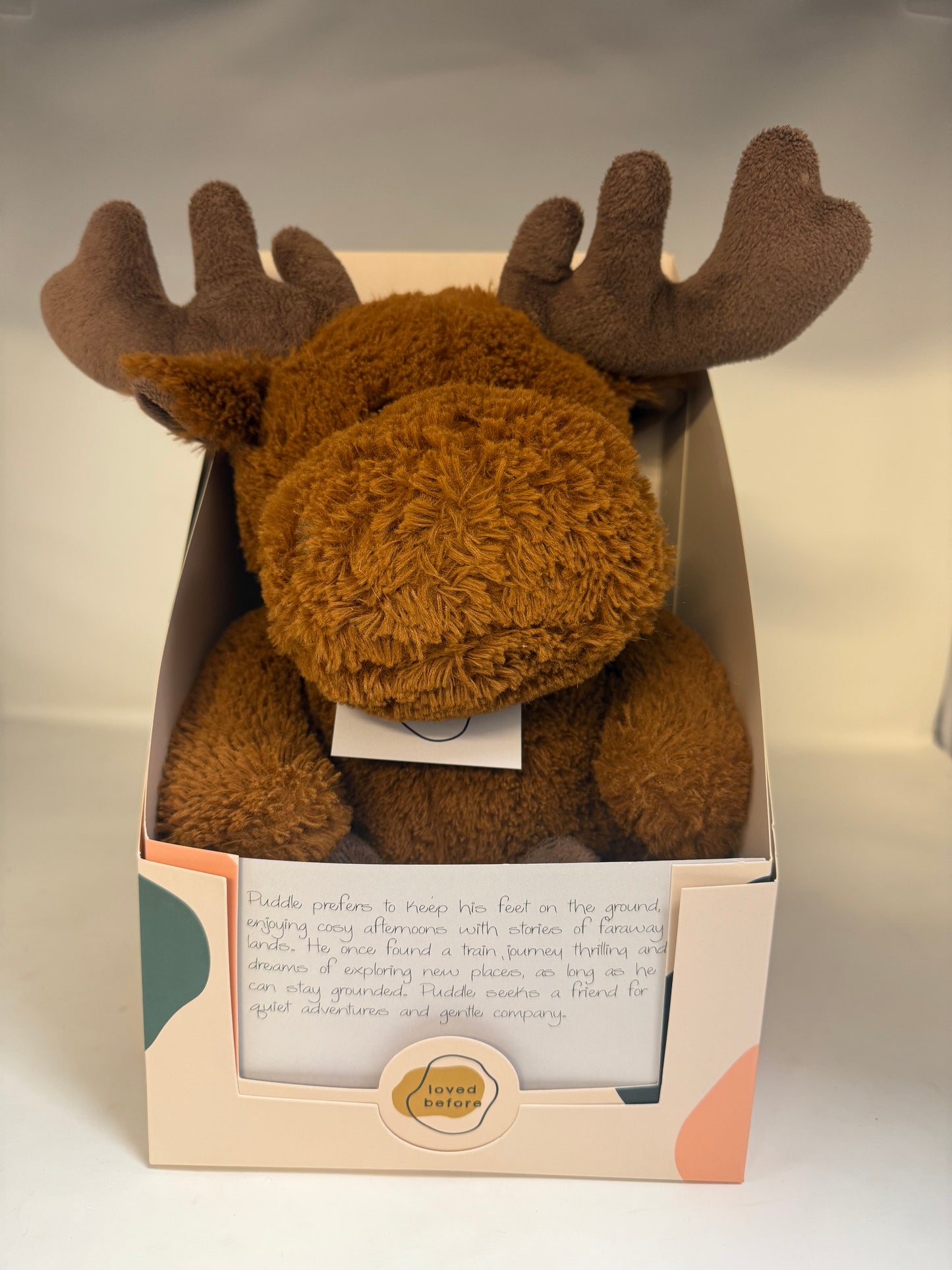 Loved Before Puddles