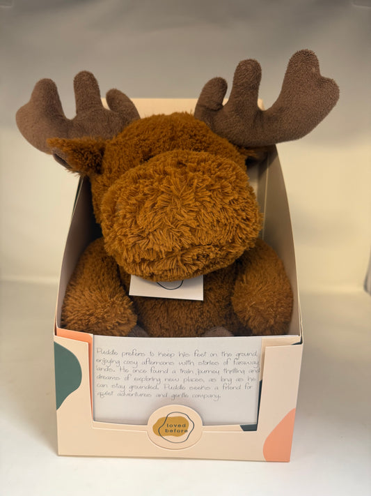 Loved Before Puddles