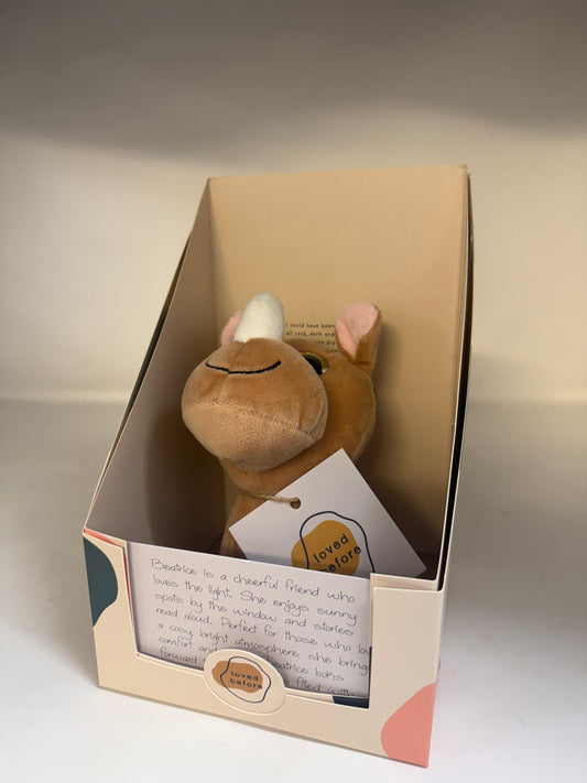 Loved Before Beatrice