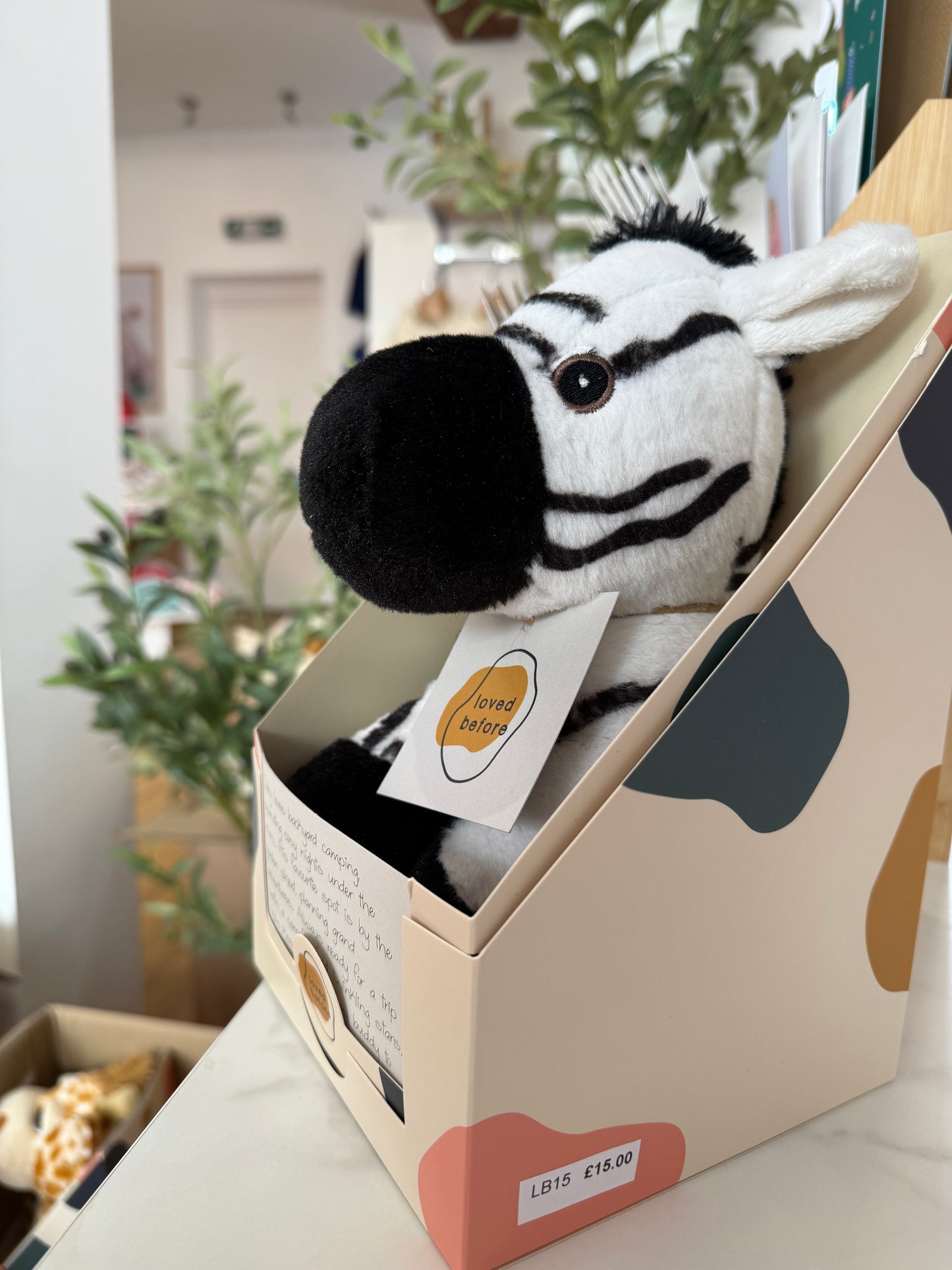 Loved Before Colby Zebra