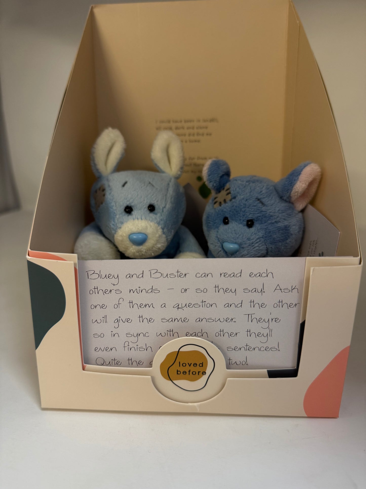 Loved Before Bluey & Buster