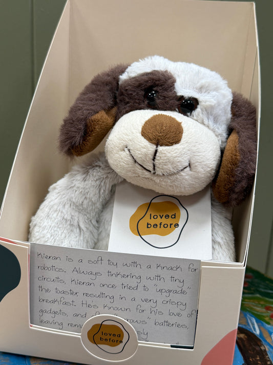 Loved before Kieran dog