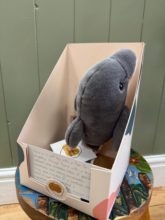 Loved before Elena dolphin