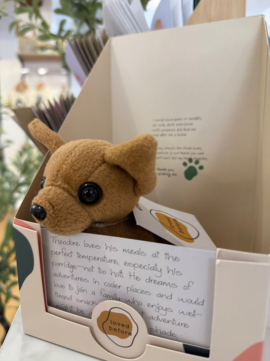 Loved Before Theodore