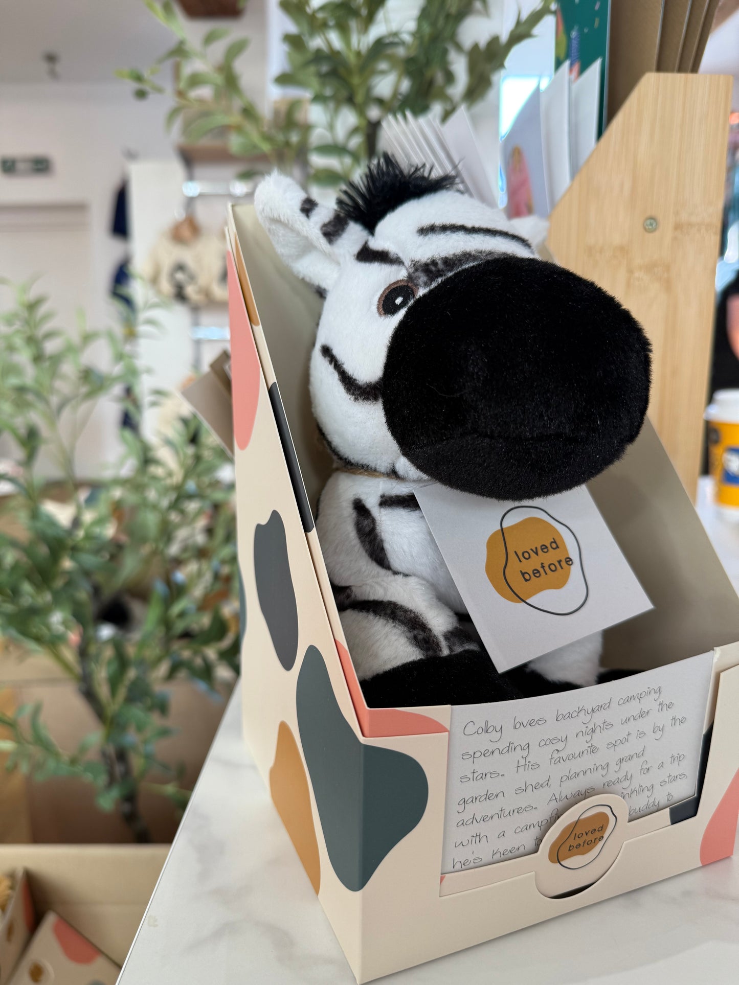Loved Before Colby Zebra