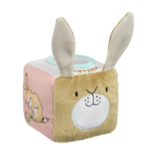 Rainbow Designs Guess How Much I Love You Activity Cube