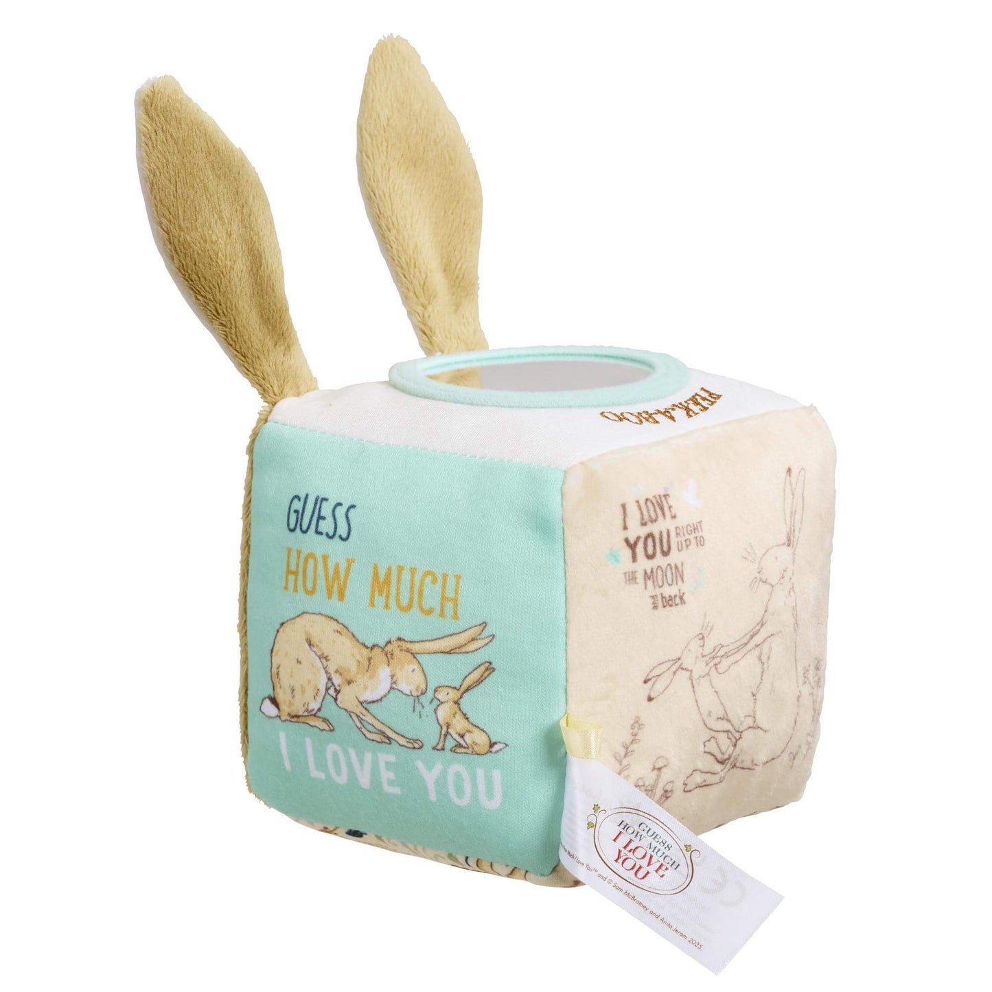 Rainbow Designs Guess How Much I Love You Activity Cube