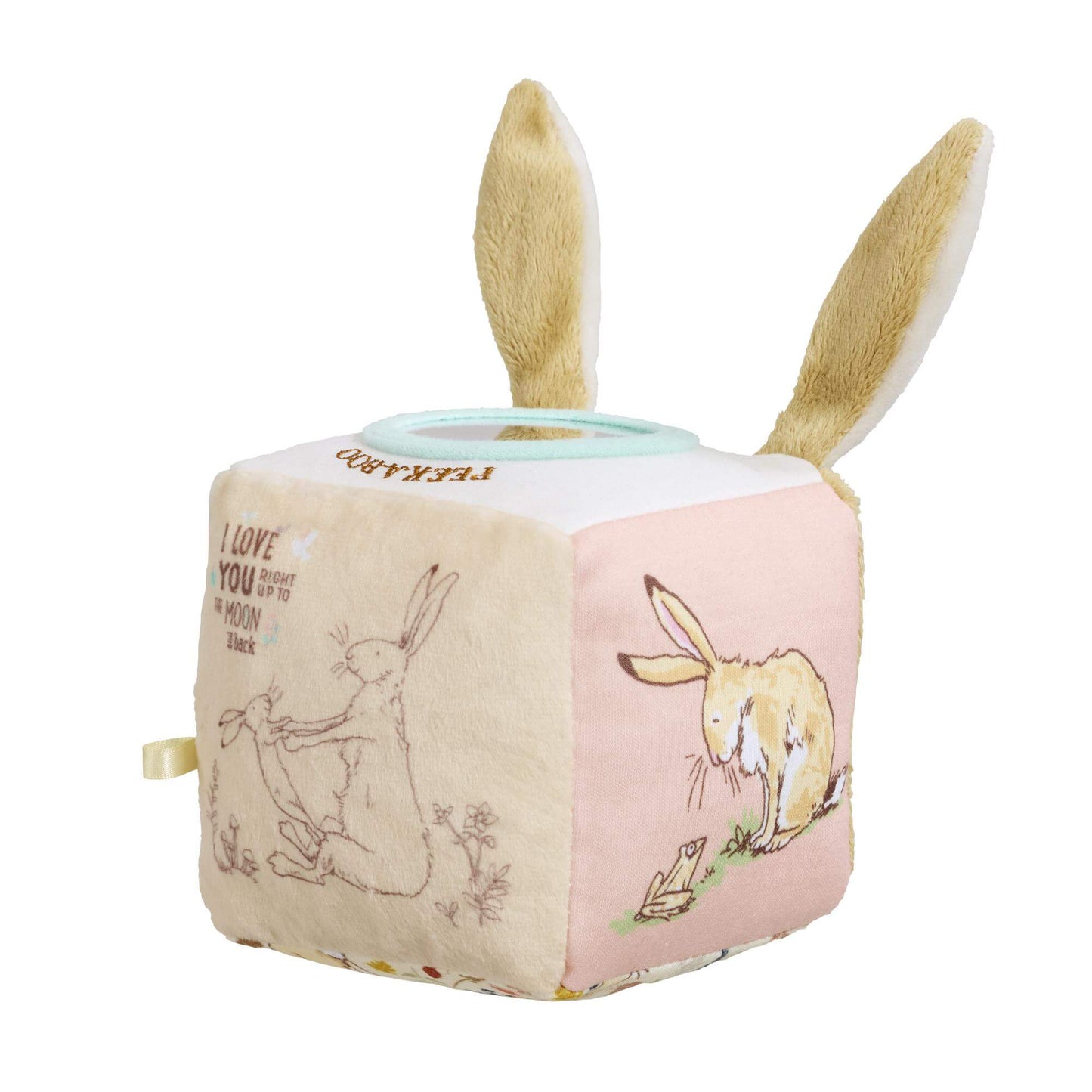 Rainbow Designs Guess How Much I Love You Activity Cube