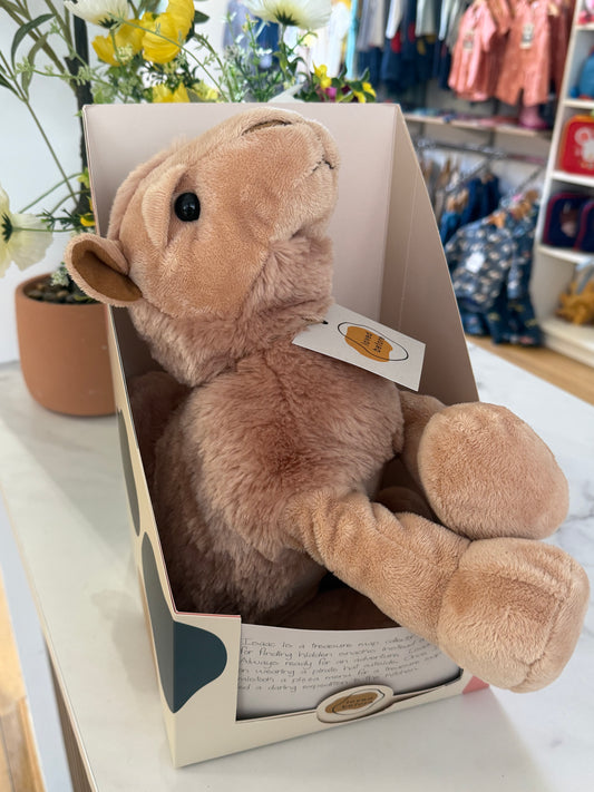 Loved Before Isaac Camel
