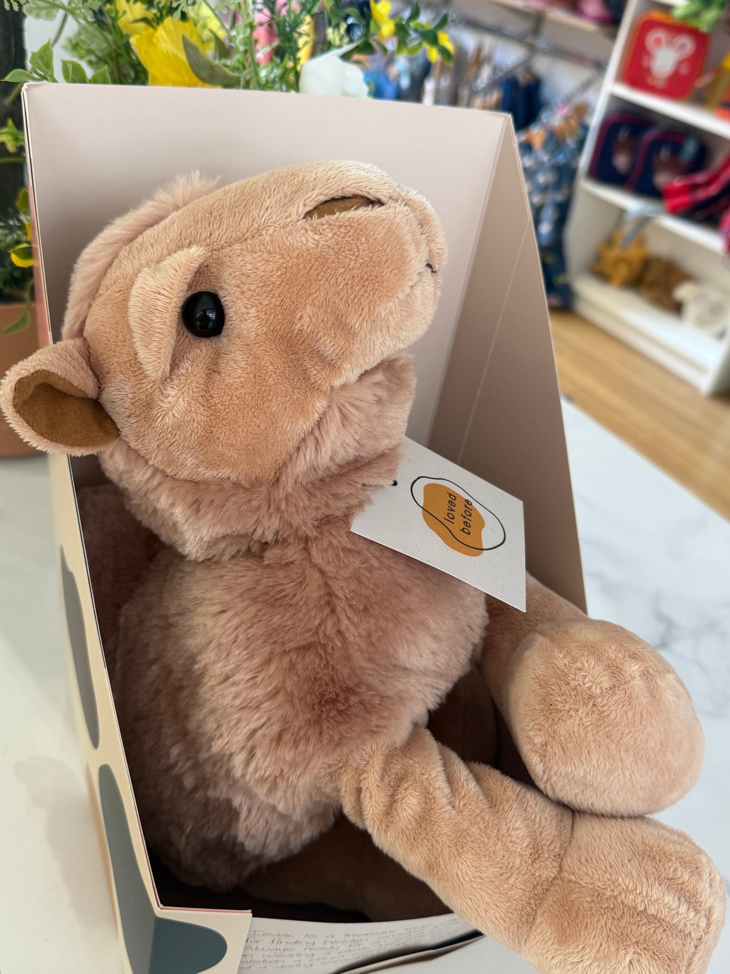 Loved Before Isaac Camel