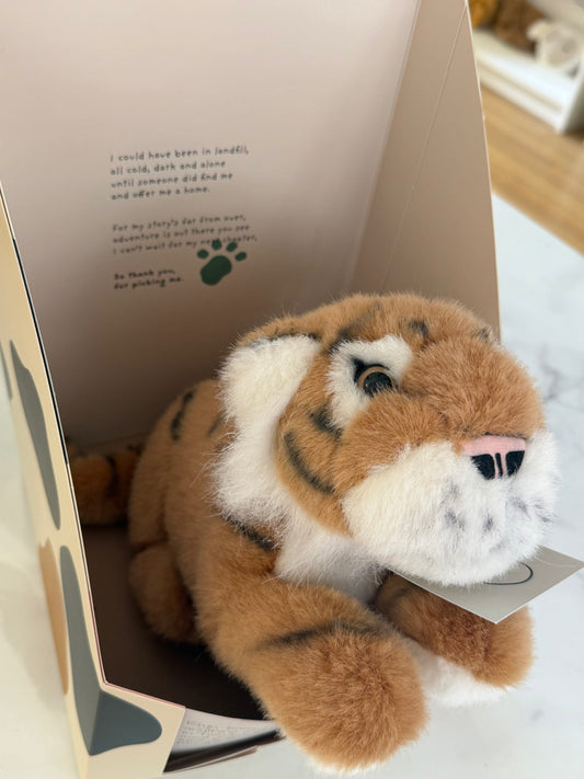 Loved Before Eryn Tiger