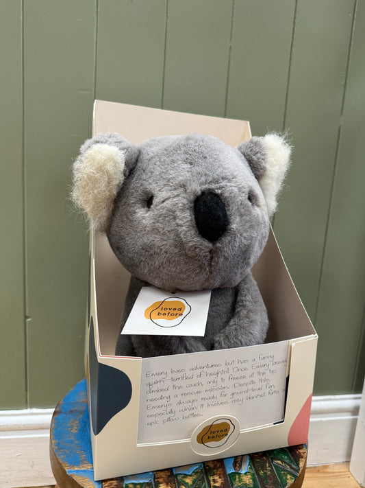 Loved before Emery Koala