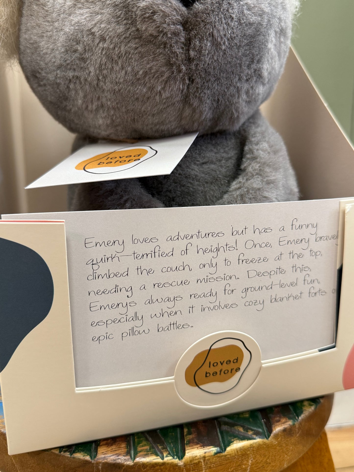 Loved before Emery Koala