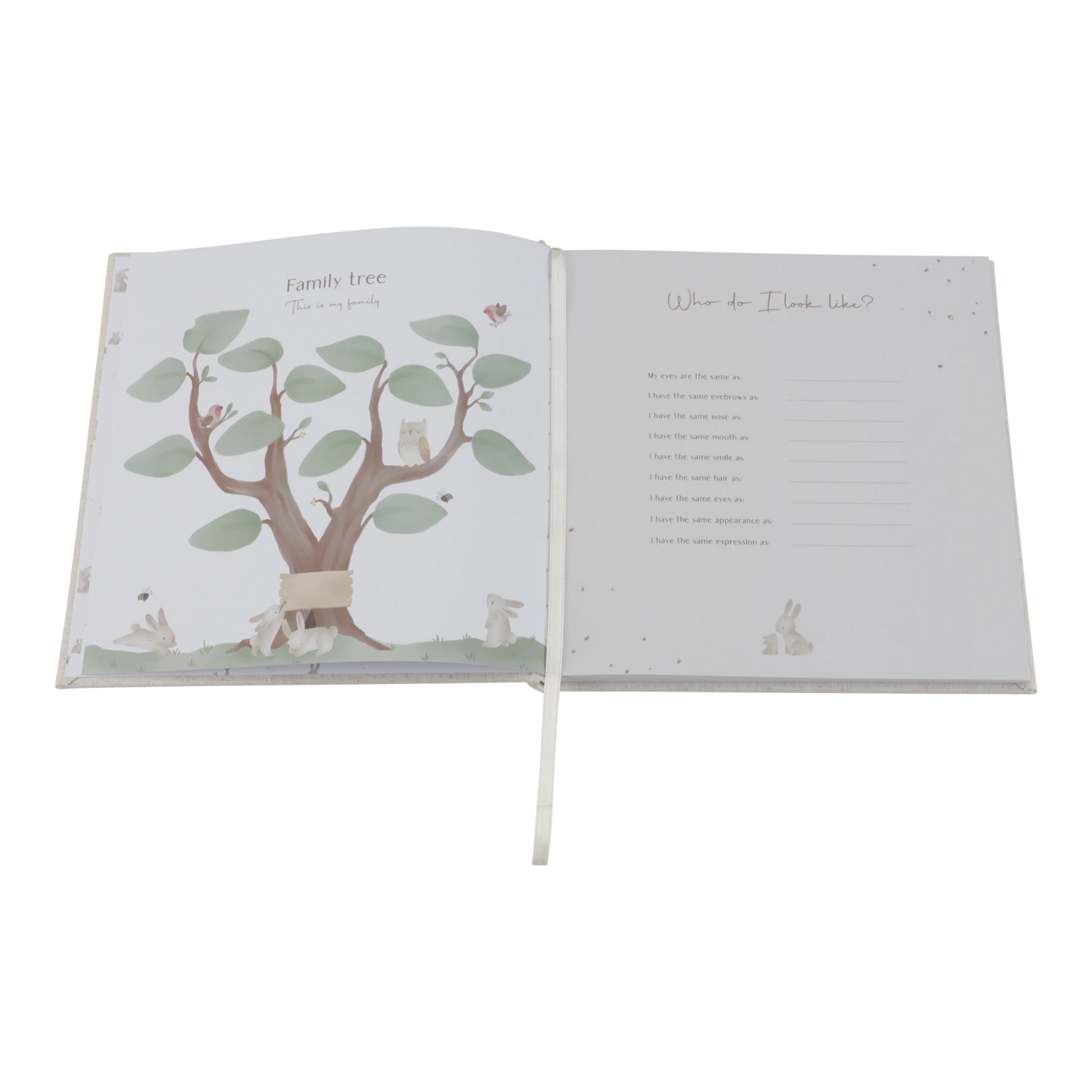 Little Dutch Baby first year book - Baby Bunny