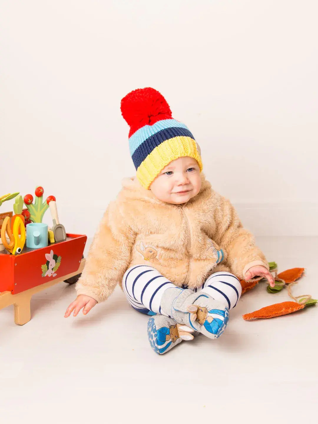 Blade & Rose Peter Rabbit Hoodie