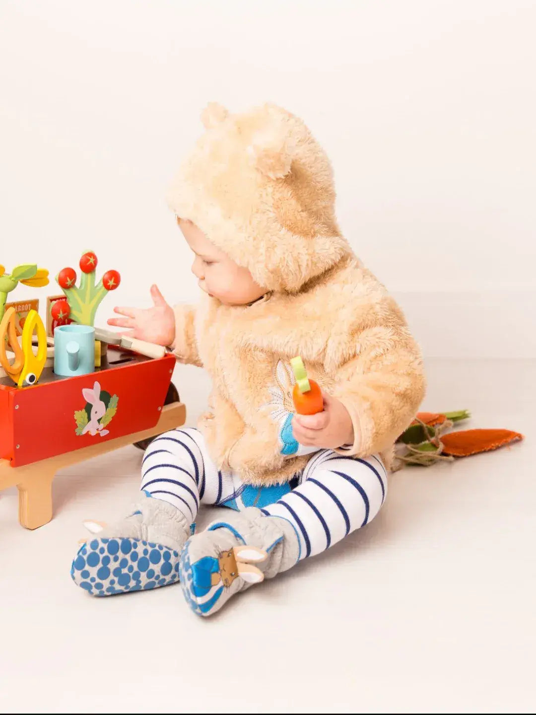 Blade & Rose Peter Rabbit Hoodie