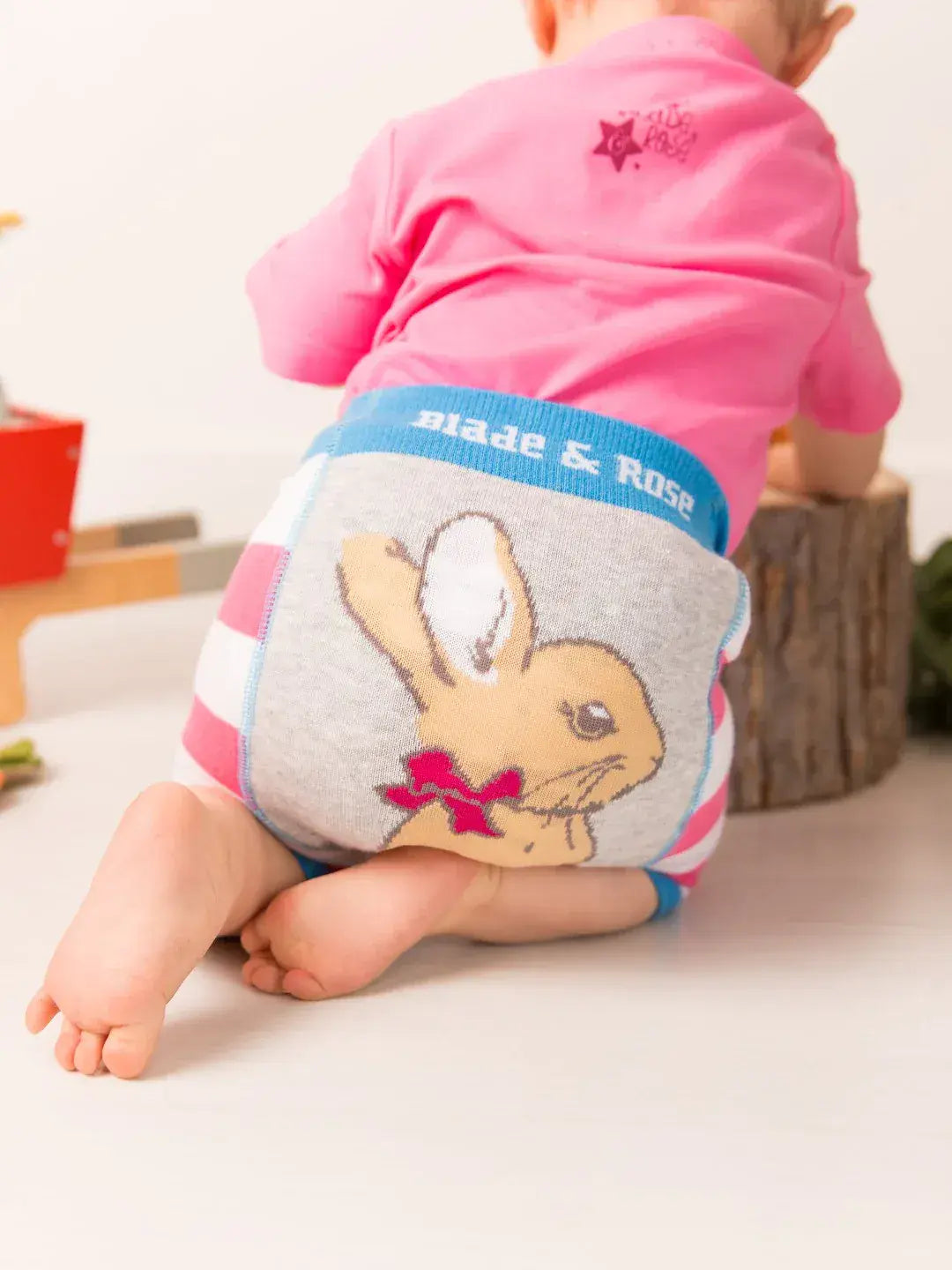 Blade & Rose Peter Rabbit Springtime Summer Shorts