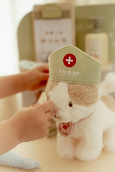 Little Dutch Wooden Veterinary Practice