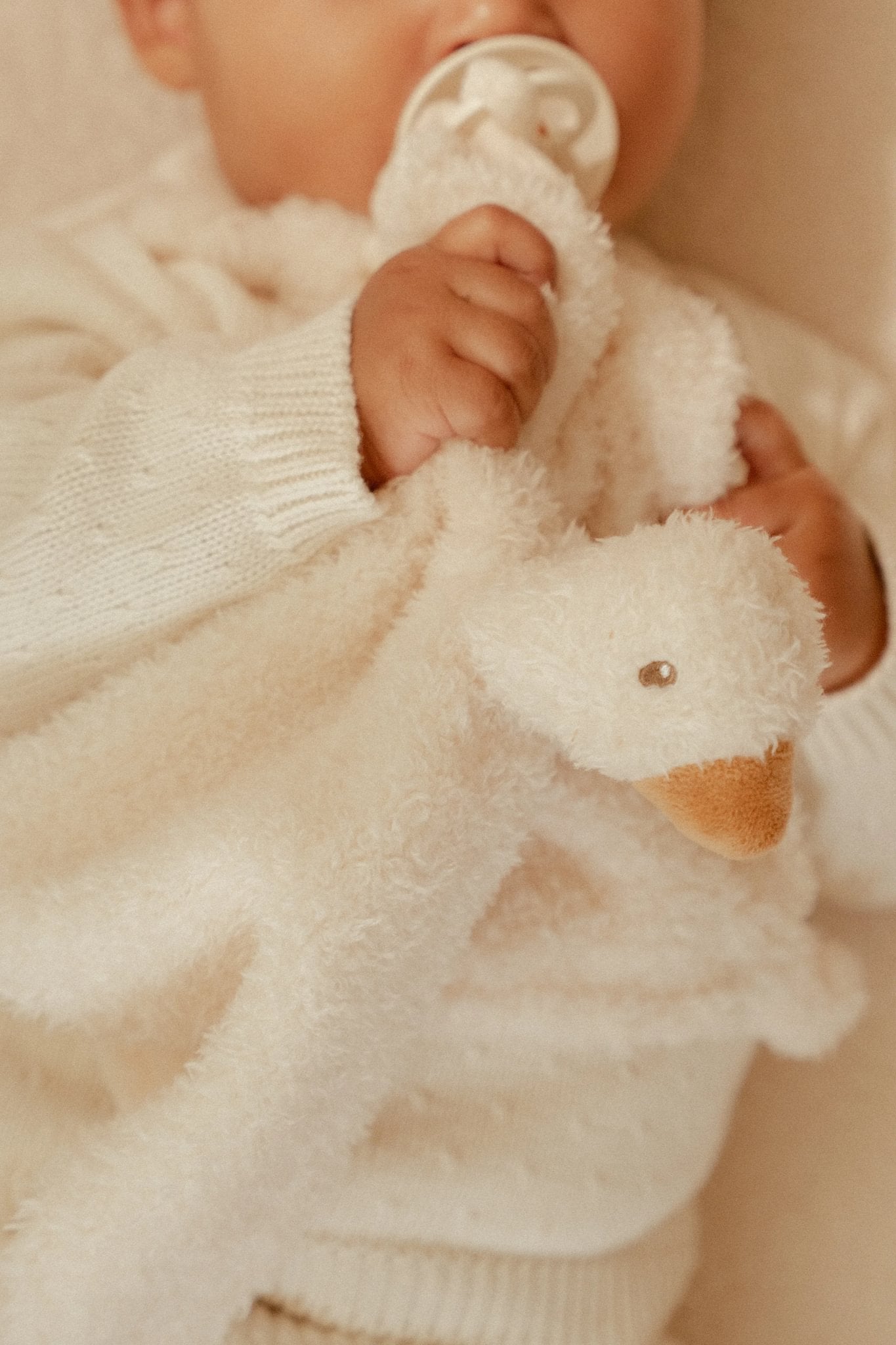 Little Dutch Cuddle Cloth- Little Goose