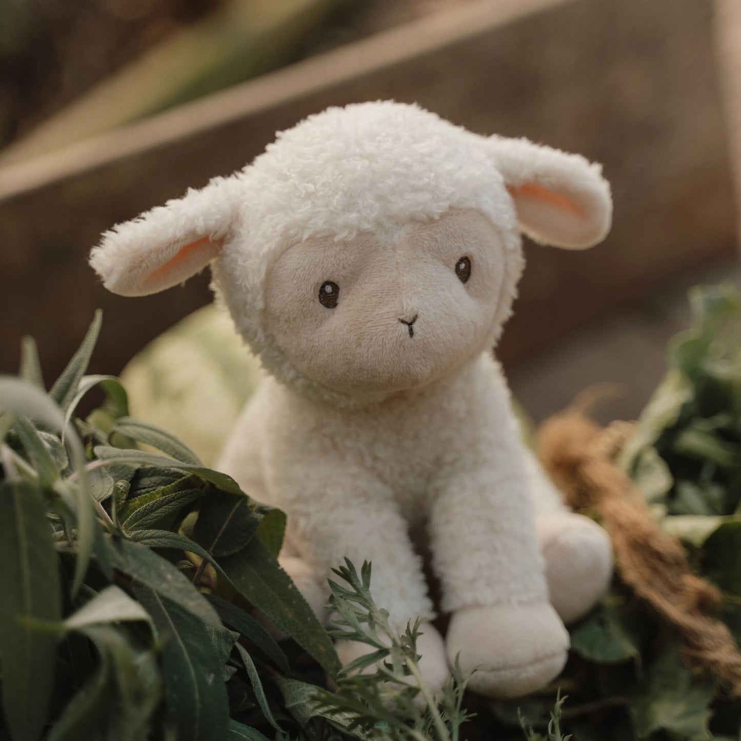 Little Dutch Cuddle Sheep 17cm