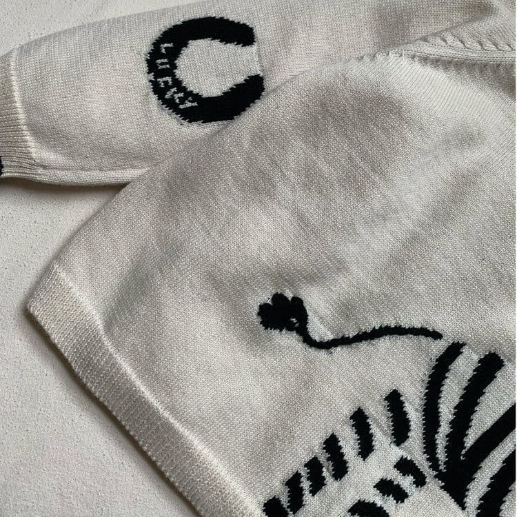 Fable & Bear Lucky Zebra Jumper