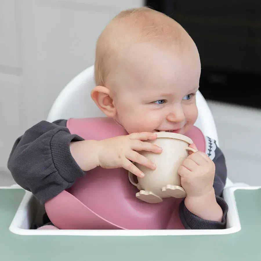 Green Island Silicone Baby Bibs Pack Of 2
