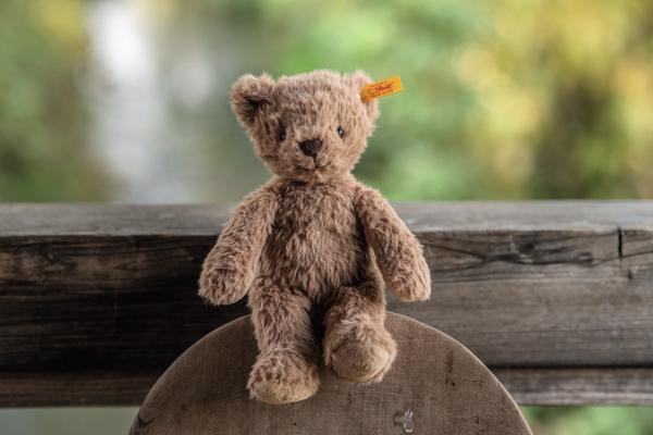 Steiff Thommy Teddy Bear
