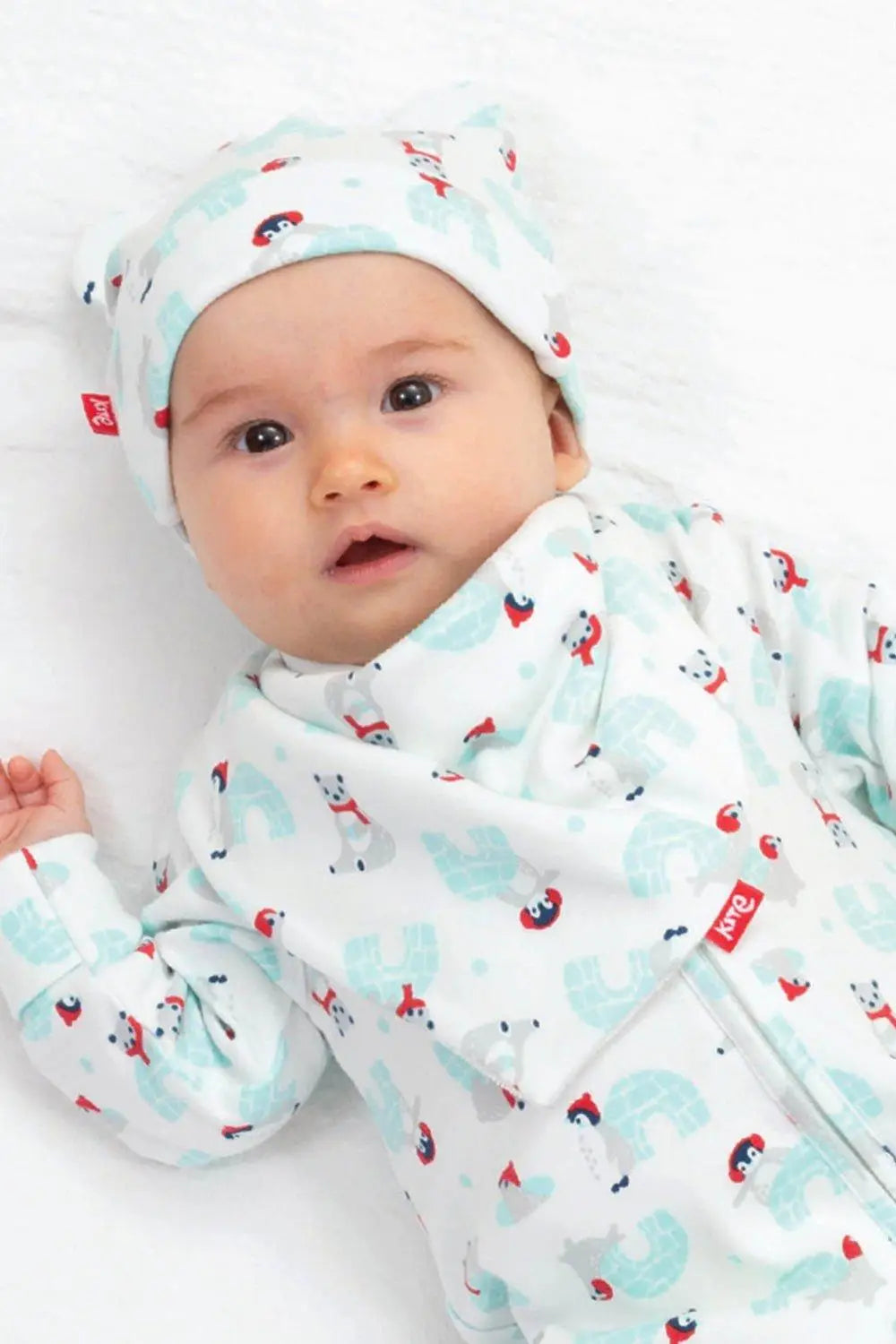 Kite Snowy Homes Bib